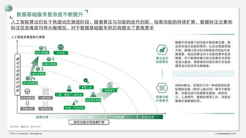 人工智能基礎(chǔ)數(shù)據(jù)服務(wù)白皮書 數(shù)據(jù)驅(qū)動(dòng)，軟件賦能
